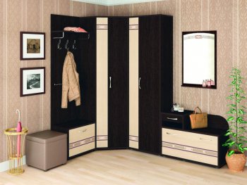 Прихожая Триумф (Венге/Беленый дуб) в Новосибирске - mebel154.com