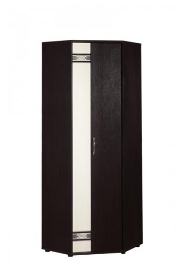 36.02 Шкаф для одежды угловой лев/прав в Новосибирске - mebel154.com