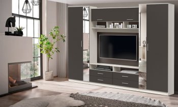 ШМЦ Вена  91.01 с зеркалом в Новосибирске - mebel154.com