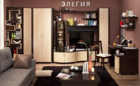 Гостиная Элегия-2 модульная в Новосибирске - mebel154.com