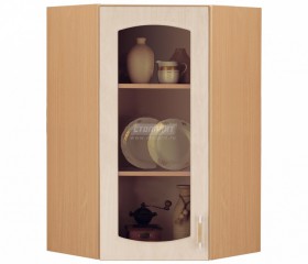 Оля М5В Витрина в Новосибирске - mebel154.com