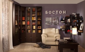Шкаф для книг 31 Бостон в Новосибирске - mebel154.com