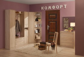 Шкаф для одежды 2-х дверный 6 Комфорт в Новосибирске - mebel154.com