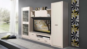 Шкаф для одежды Рапсодия в Новосибирске - mebel154.com