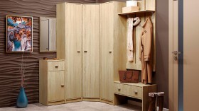 Шкаф для одежды Тифани-1 в Новосибирске - mebel154.com
