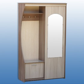 Шкаф для прихожей-2 в Новосибирске - mebel154.com
