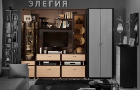 Шкаф МЦН 23 Элегия-2  в Новосибирске - mebel154.com