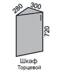 Шкаф верхний 720 ВШ 30 торцевой с дв в Новосибирске - mebel154.com