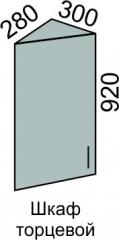 Шкаф верхний 920 ВШ 30 торцевой с дв в Новосибирске - mebel154.com