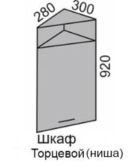 Шкаф верхний 920 ВШ 30Н торцевой с дв в Новосибирске - mebel154.com